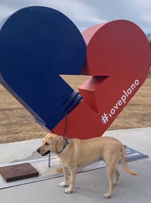 Dog Park at Windhaven Meadows Park